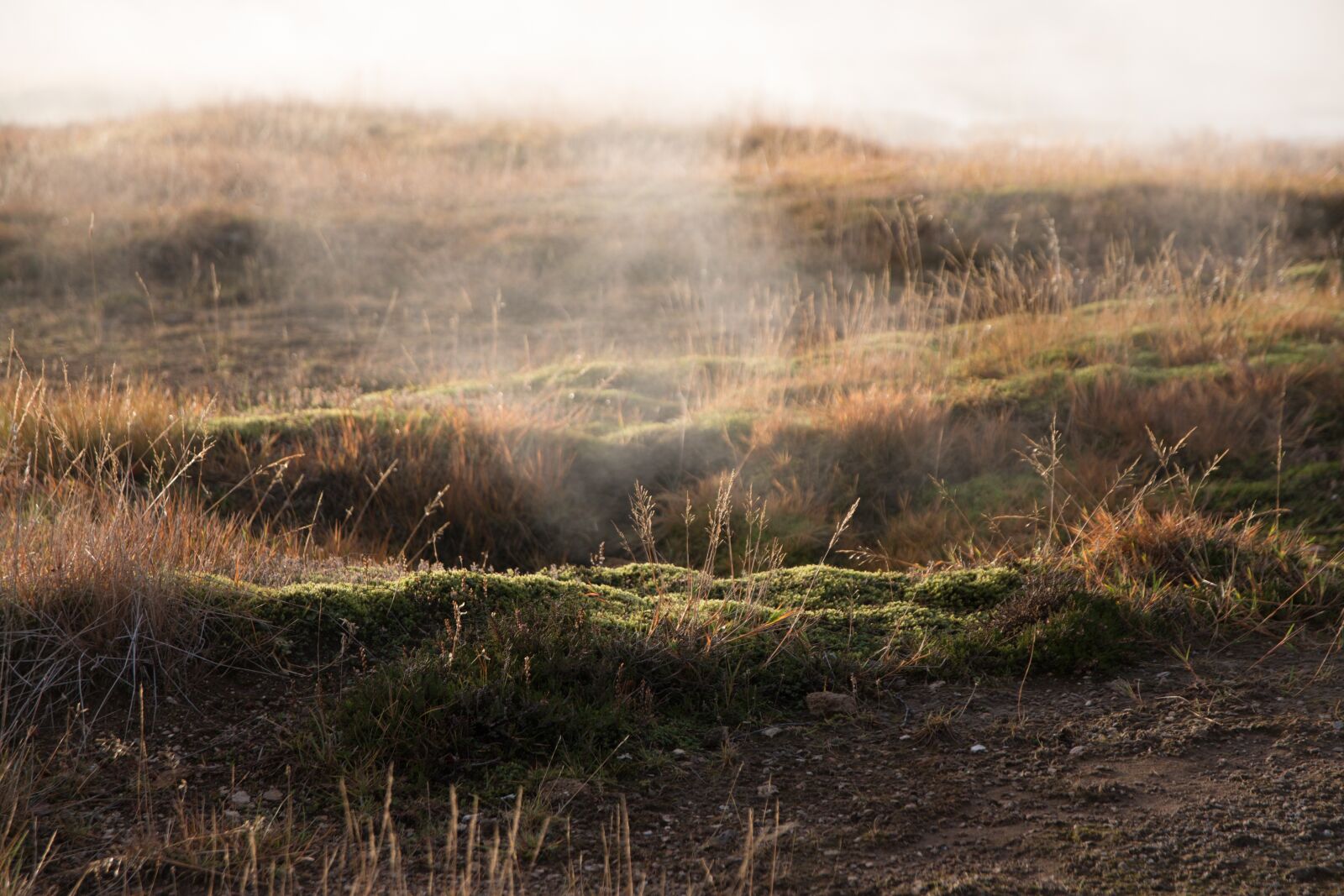 Canon EOS 70D sample photo. Landscape, nature, no person photography