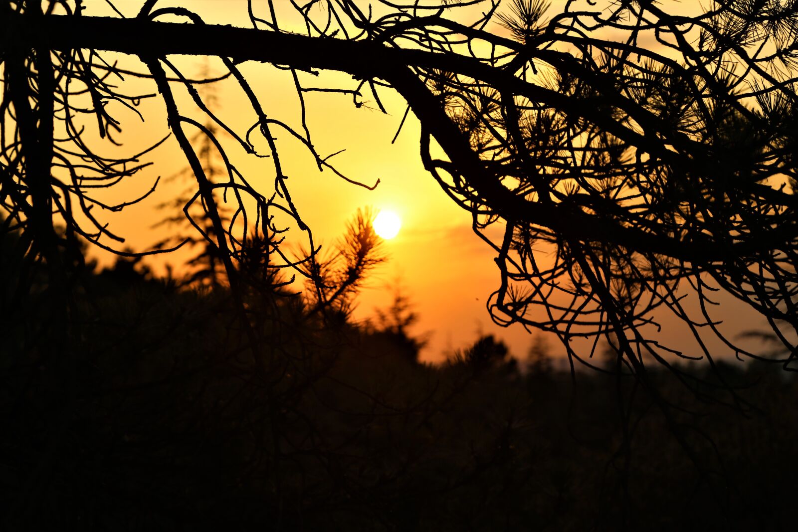 Canon EF 24-105mm F4L IS USM sample photo. Sunset, in the evening photography