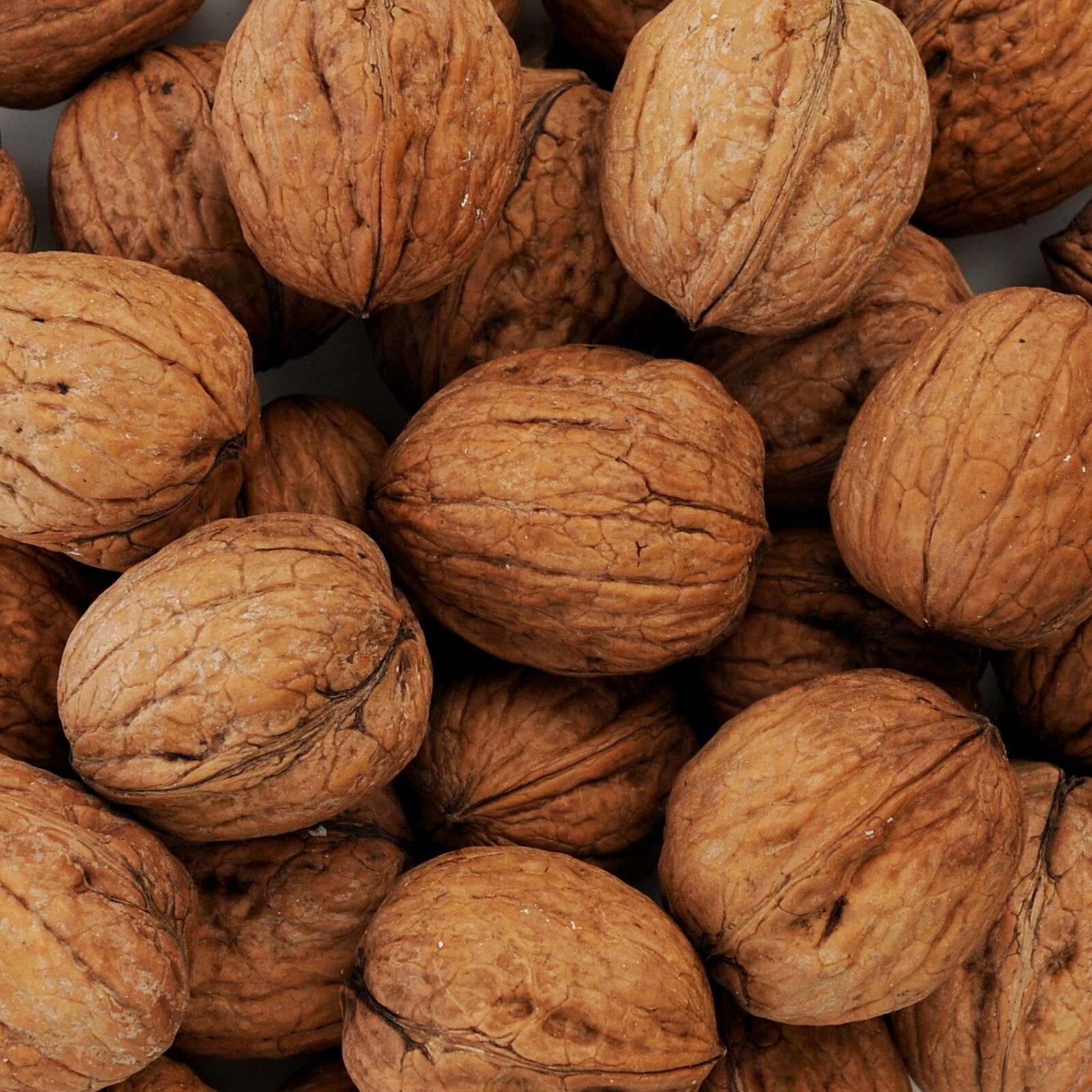 Nikon D3X sample photo. Nuts, walnuts, walnut photography