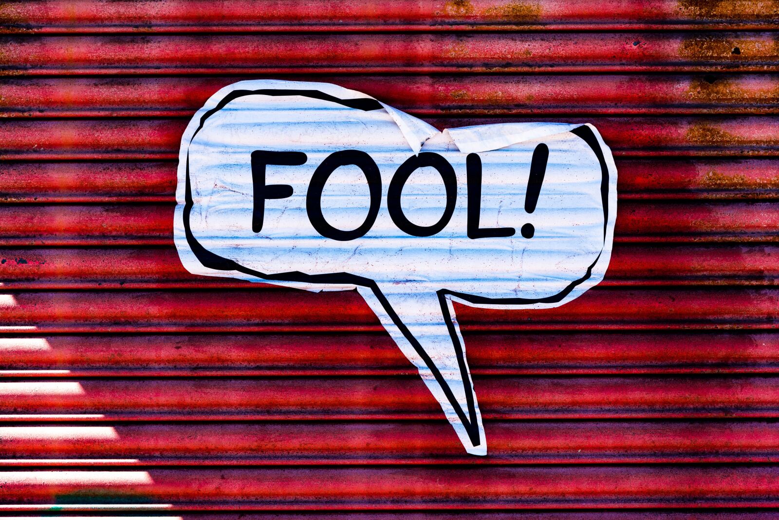 Nikon D750 sample photo. Fool, sign, wall photography