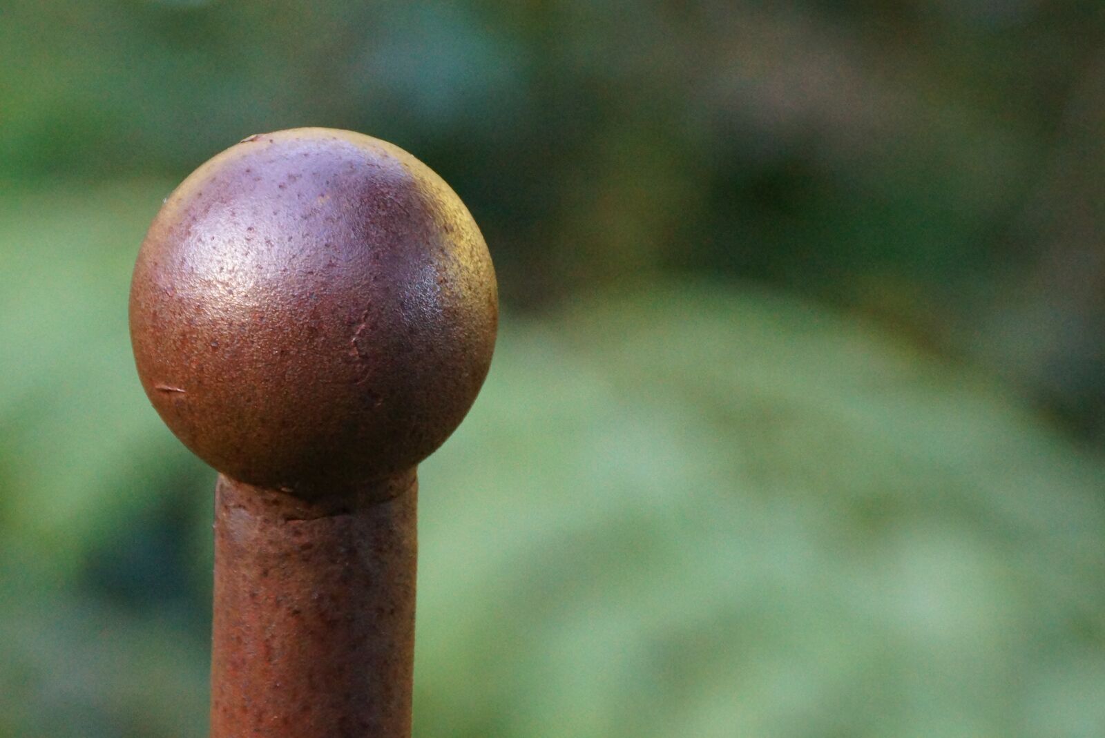 Sony DT 18-250mm F3.5-6.3 sample photo. Rustic, pole, nature photography
