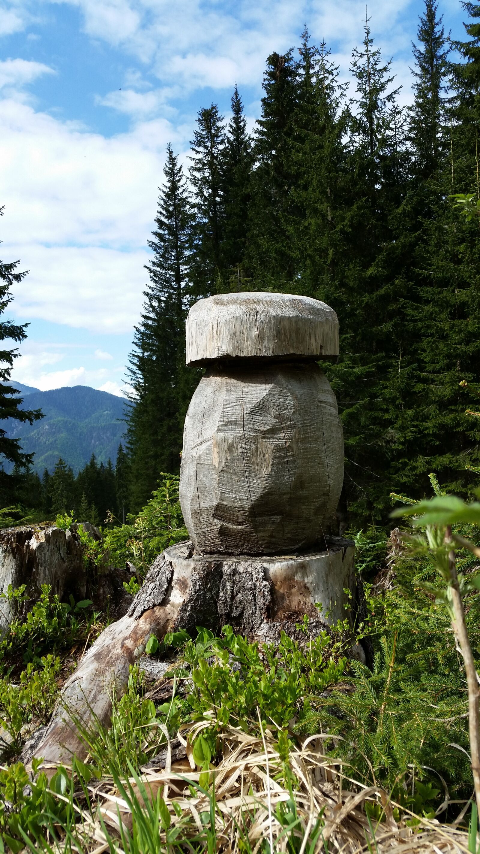 Samsung Galaxy S5 sample photo. Wood, sculpture, nature photography