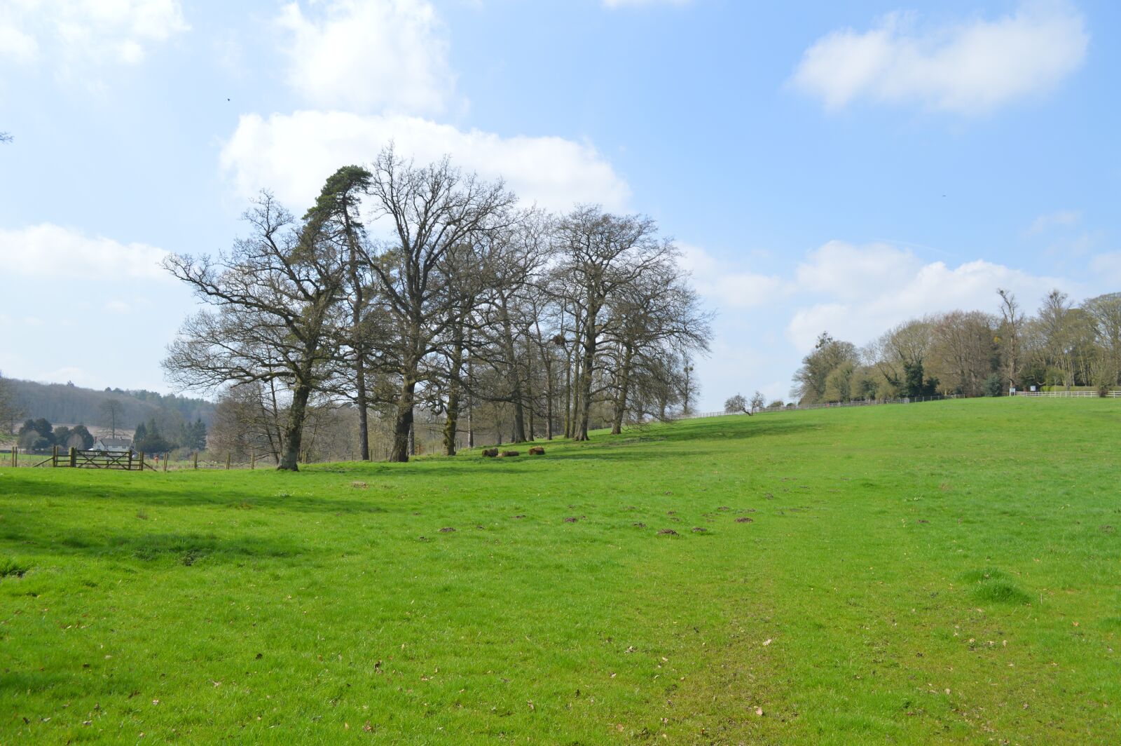 Nikon D3200 sample photo. Grass, nature, landscape photography
