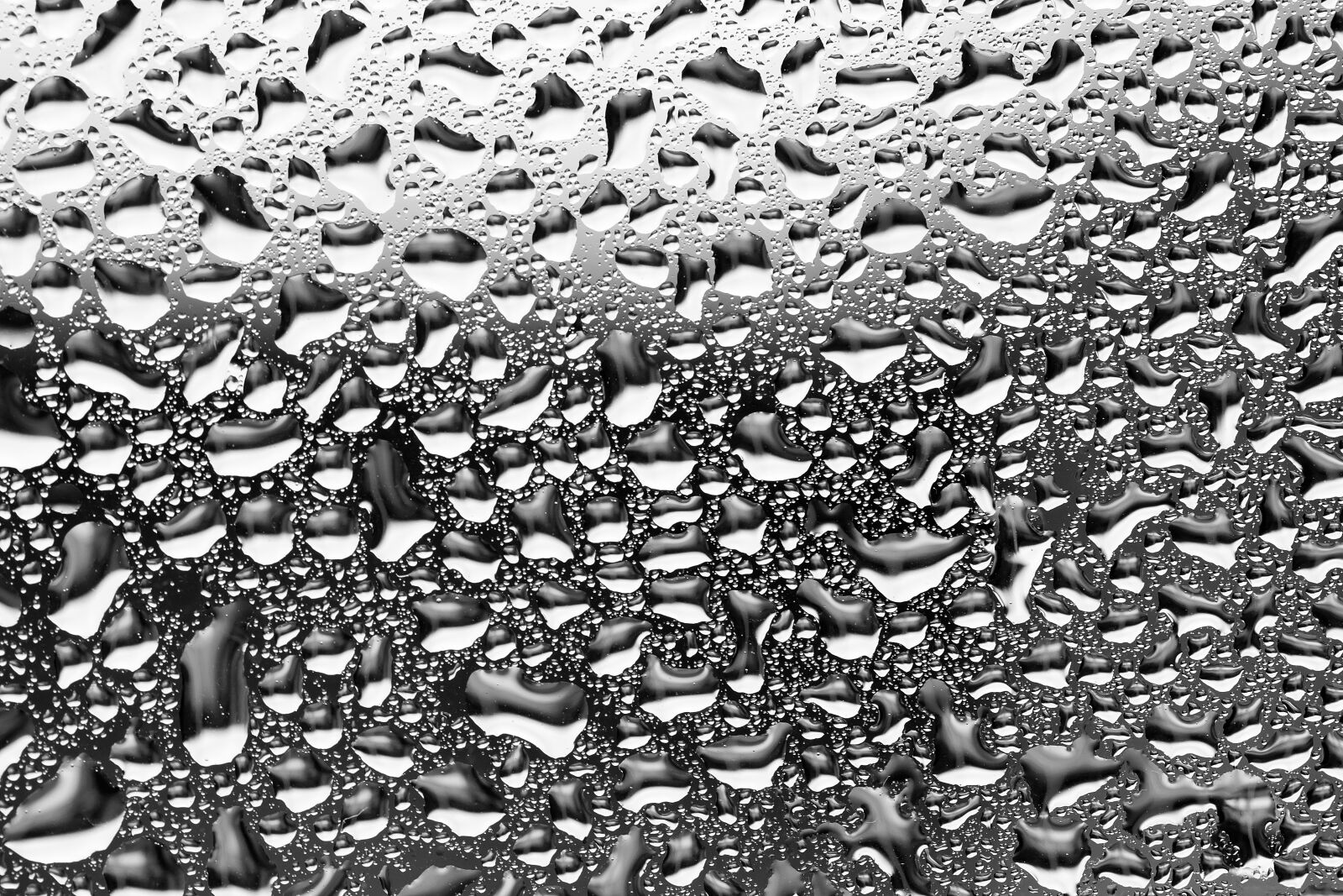 Nikon D3300 sample photo. Drop, raindrop, glass photography