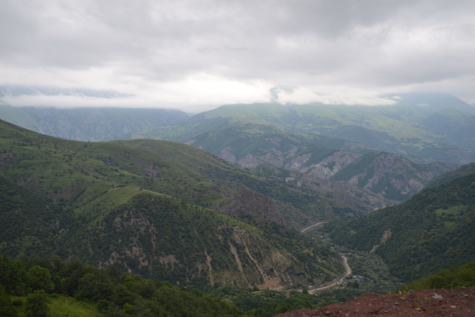 Nikon D3100 sample photo