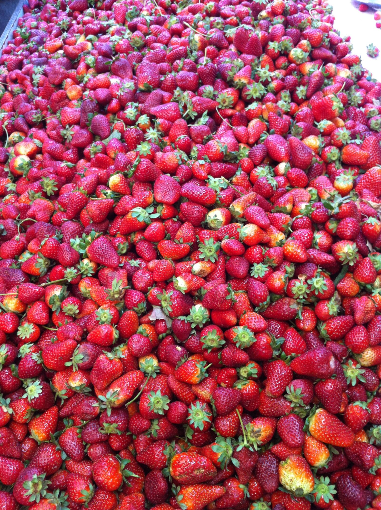 Apple iPhone 4 sample photo. Strawberry, food, fresh photography