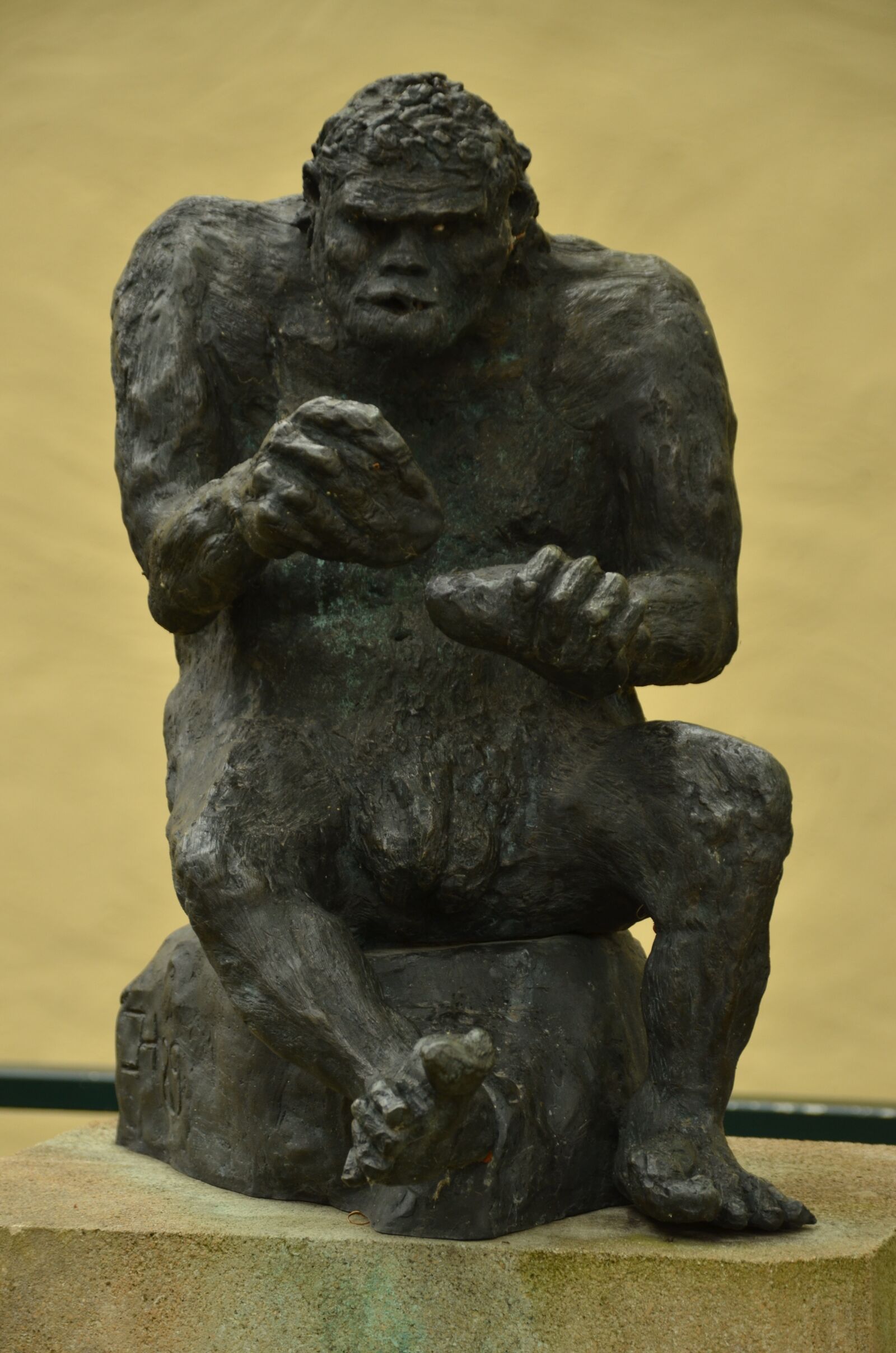 Nikon D7000 sample photo. Monkey, man, apeman photography