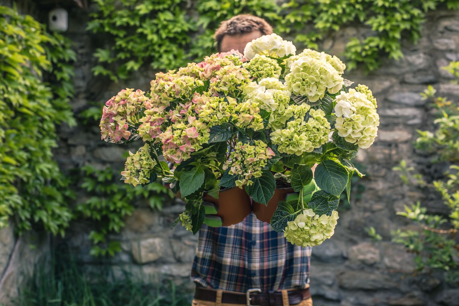 Nikon D750 sample photo. Gardener, gardening, flower photography