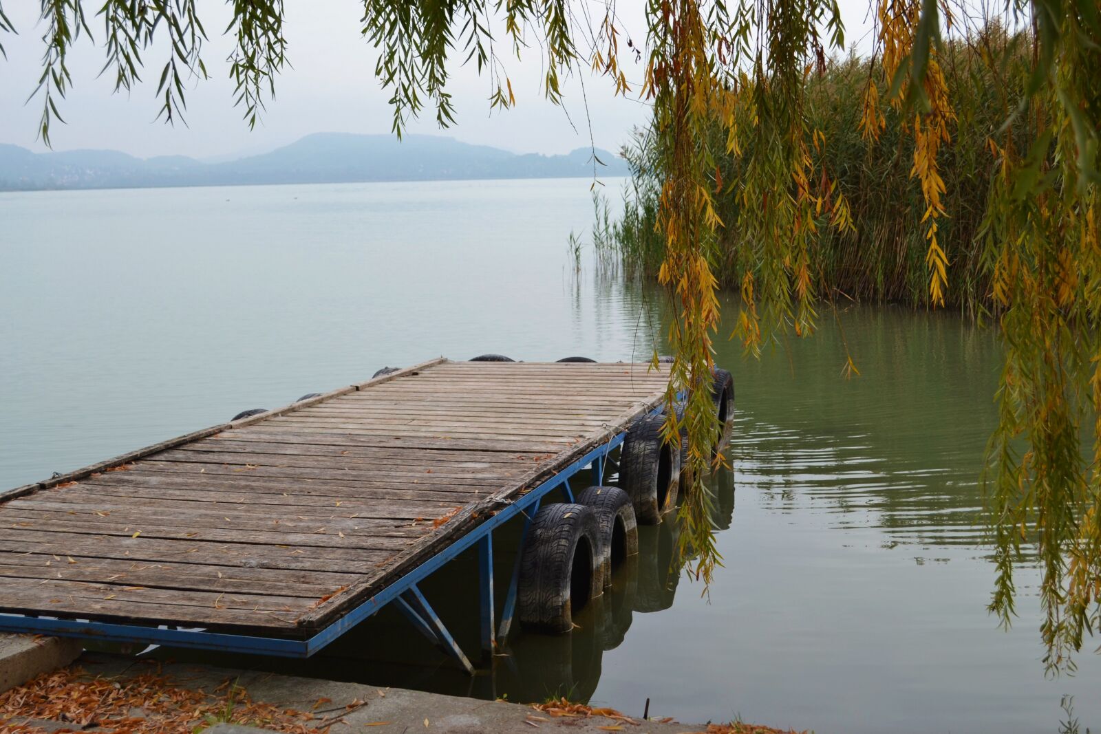 Nikon D3100 sample photo. Autumn, lakeside, plot photography