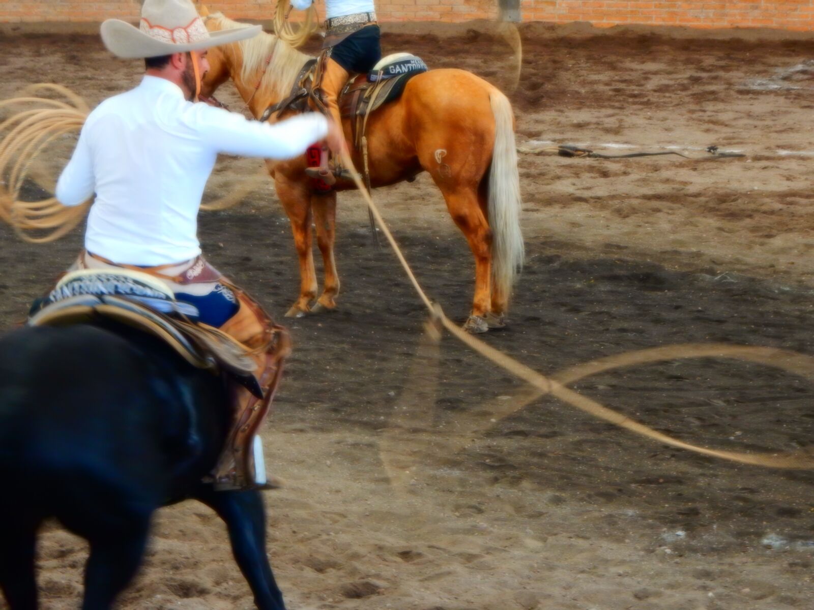 Nikon Coolpix S9700 sample photo. Lasso, rodeo, horse photography