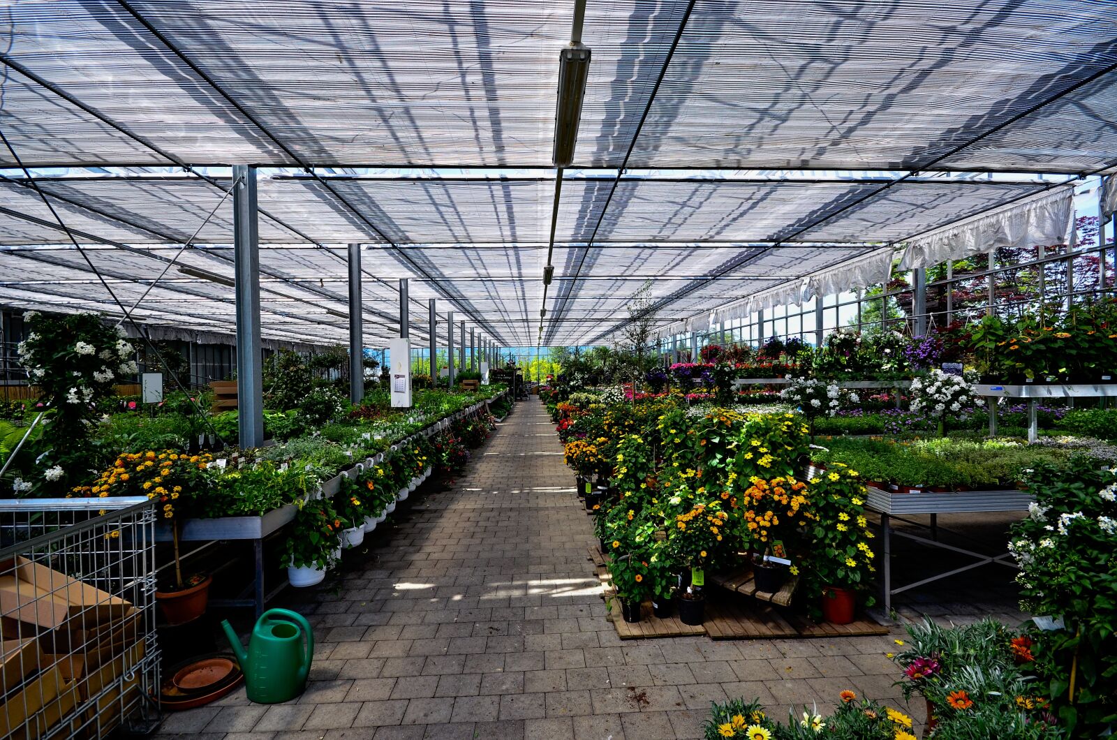 Nikon D7000 sample photo. Sale hall, flowers, flowerpot photography