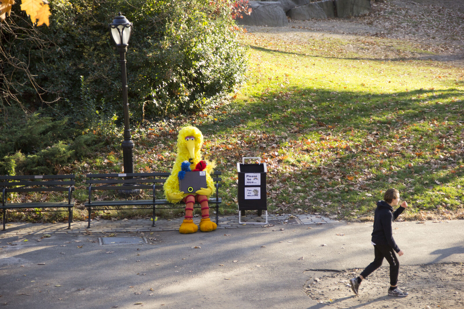 Canon EF-S 18-135mm F3.5-5.6 IS sample photo. Big, bird, central, park photography