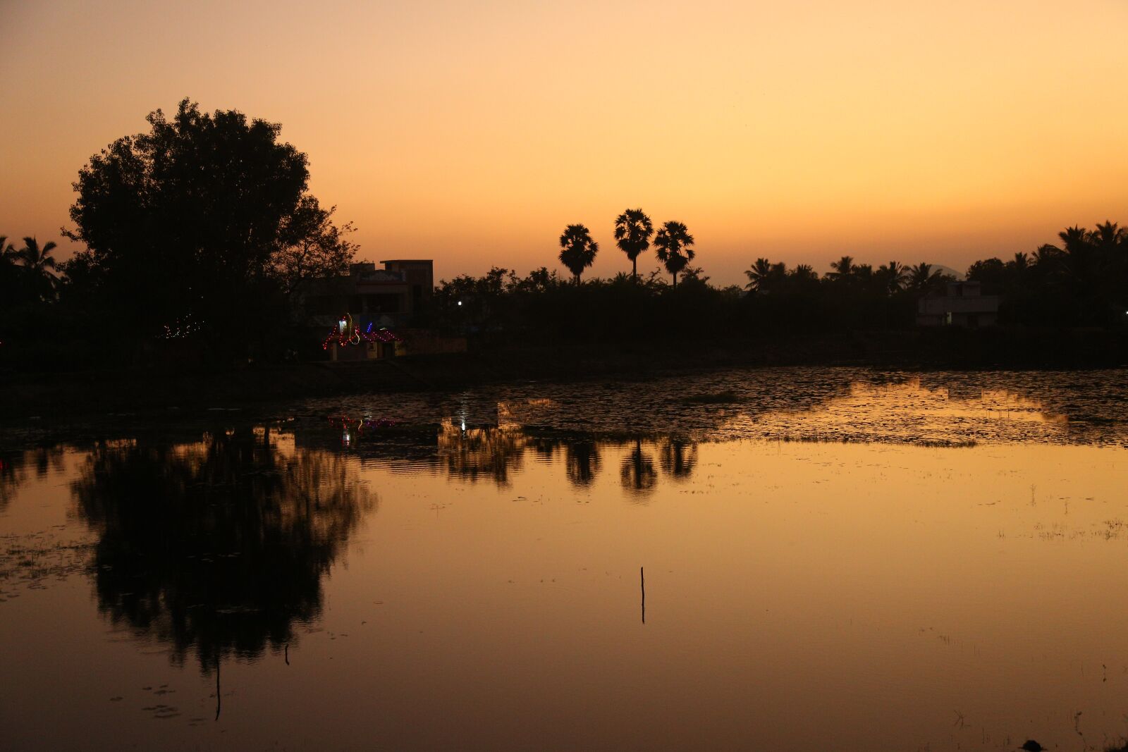 Canon EF 24-105mm F4L IS USM sample photo. Sunset, sky, nature photography