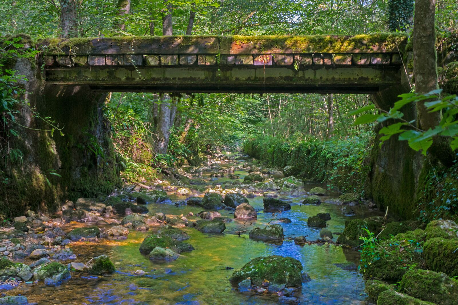 24-200mm F2.8 sample photo. Bridge, wooden bridge, trail photography