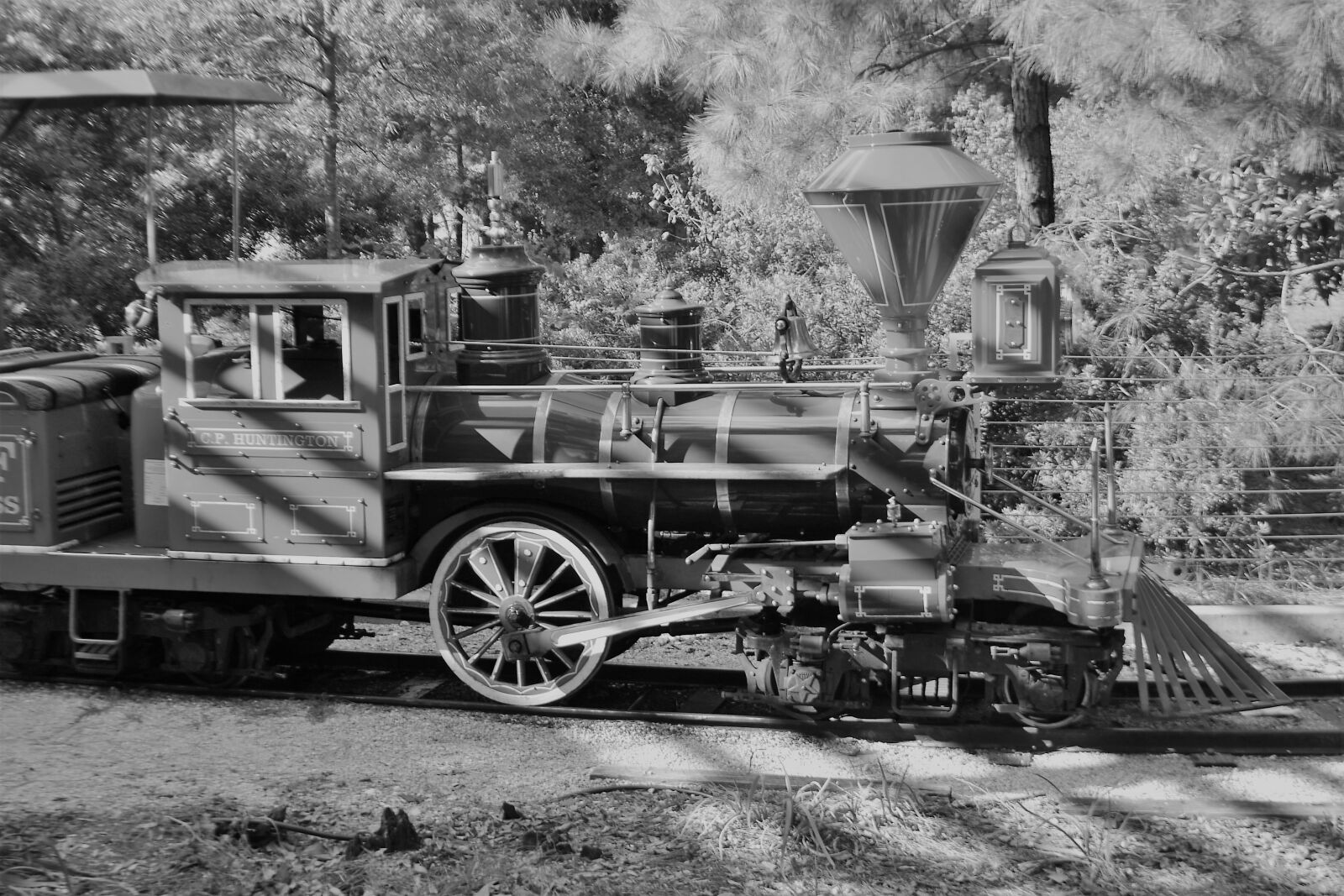 Nikon D3100 sample photo. Children's train, herman park photography
