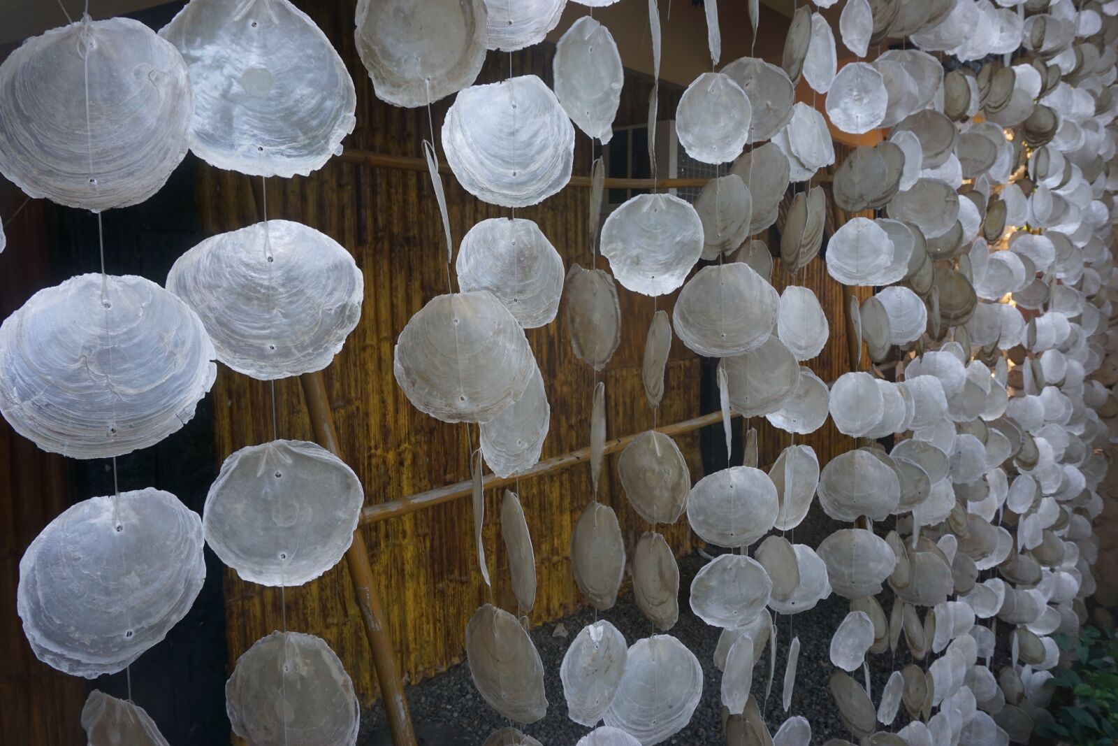 Sony a6000 sample photo. Shells, beach, hut photography