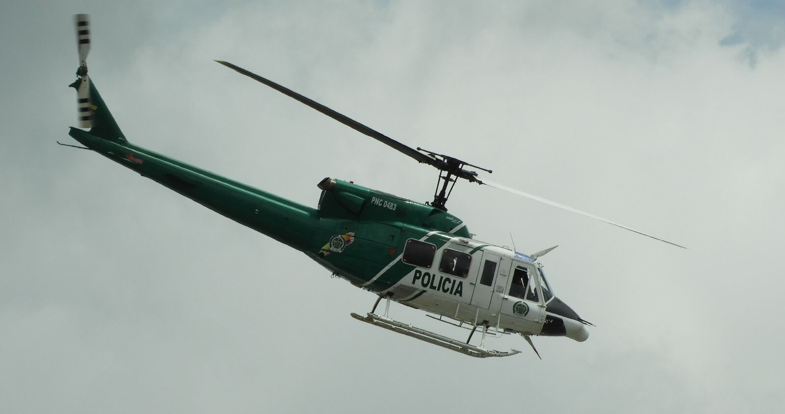 Nikon Coolpix B700 sample photo. Helicopter, branch of the photography