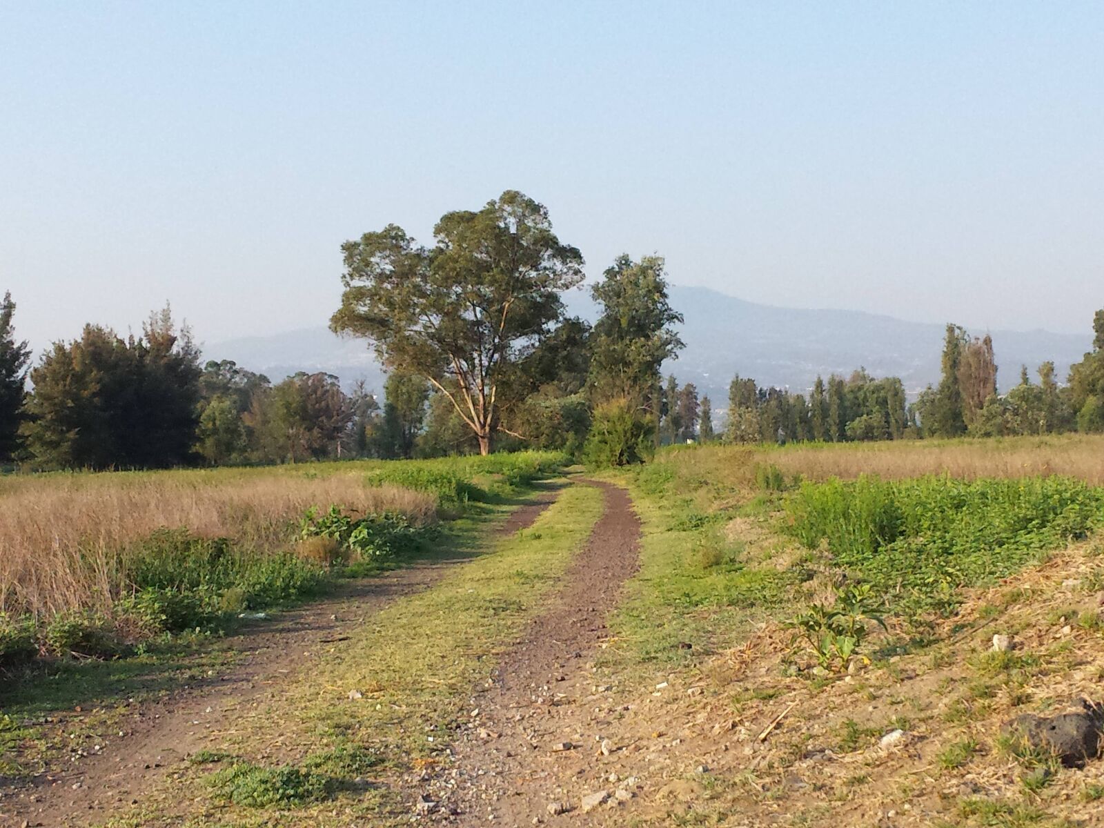 Samsung Galaxy S4 sample photo. Sidewalk, xochimilco, mexico city photography