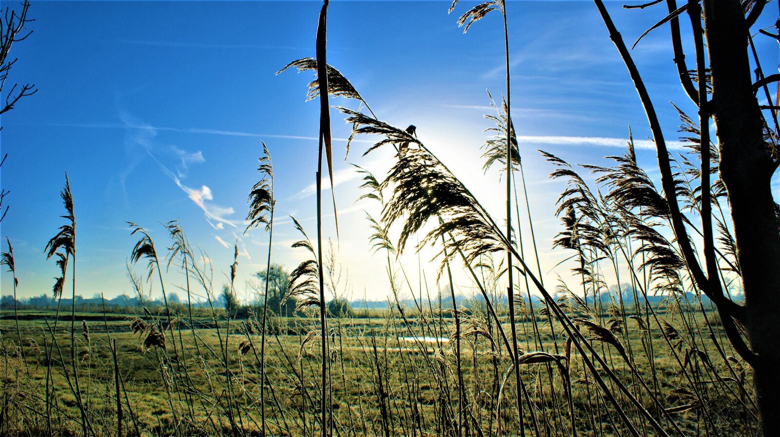 Sony Alpha DSLR-A350 sample photo. Wind, morning, sunrise photography
