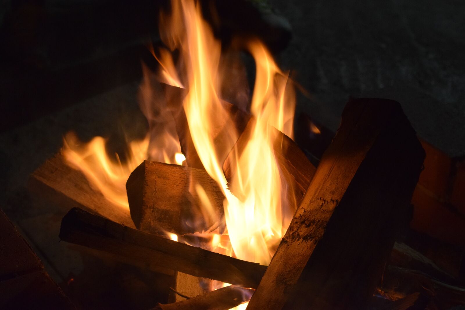 Nikon D5300 sample photo. Fire, night, campfire photography