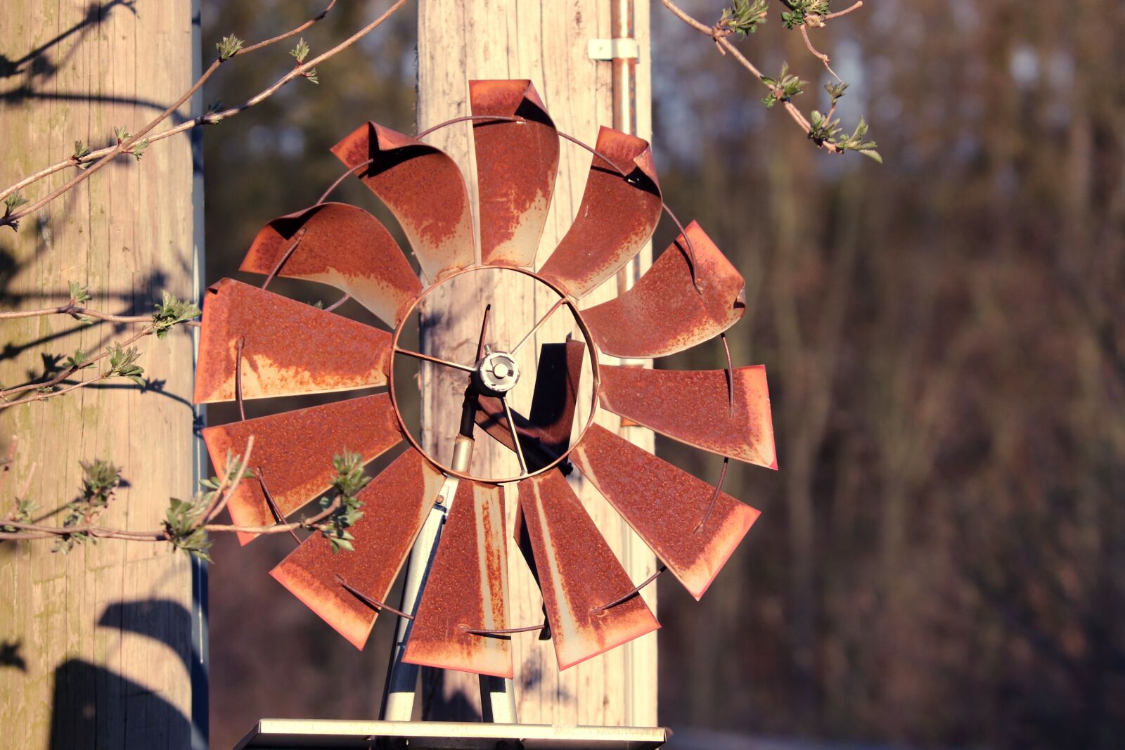 Canon EOS 200D (EOS Rebel SL2 / EOS Kiss X9) sample photo. Pinwheel, metal, rusty photography