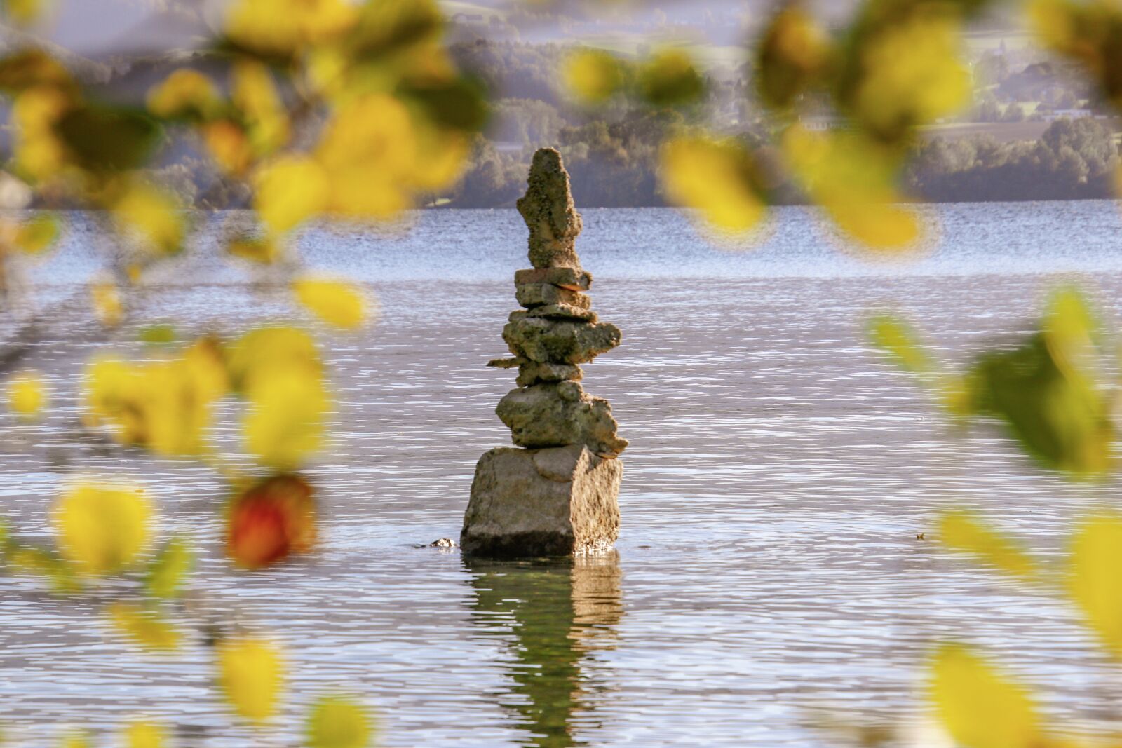 Canon EOS 80D sample photo. Lake, leaves, nature photography
