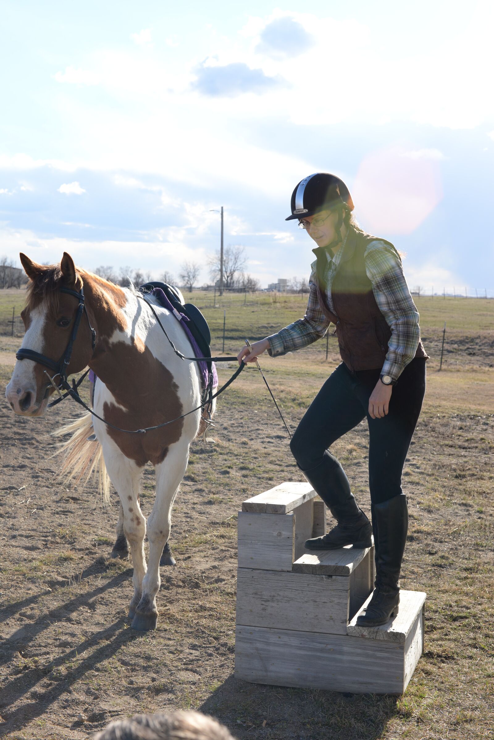 Nikon D610 sample photo. Stables, horse, farm photography