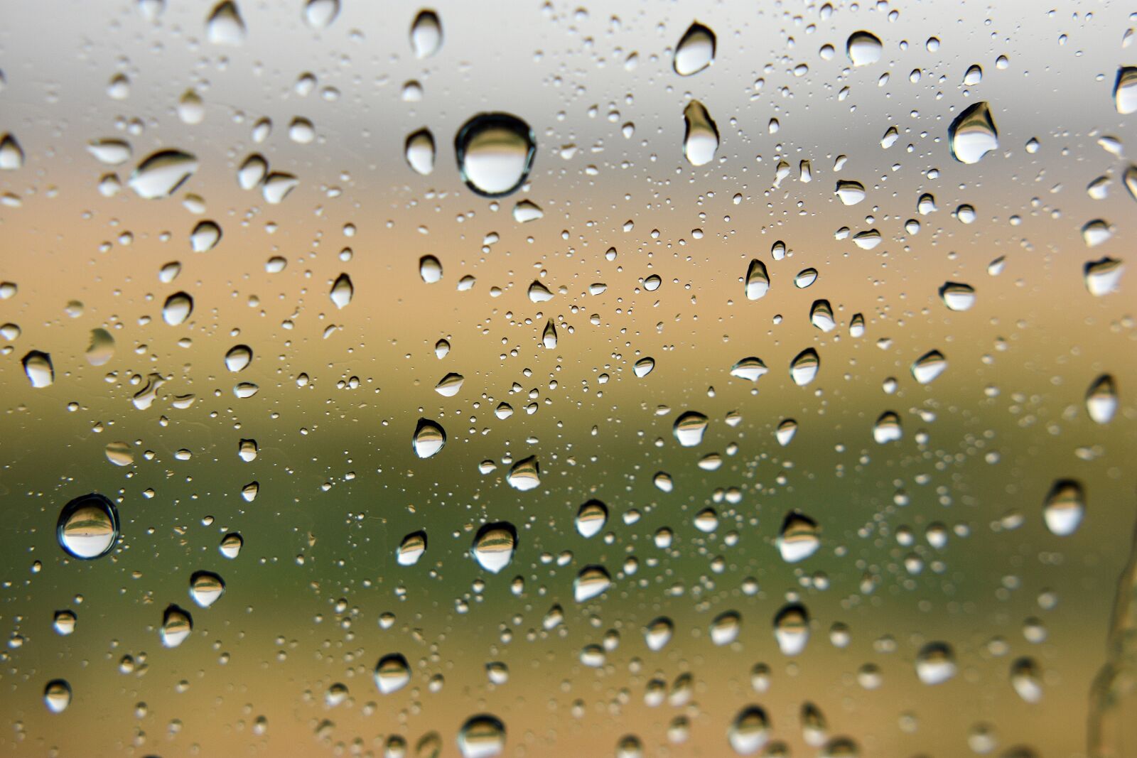 Nikon D3400 sample photo. Rain, drops, glass photography