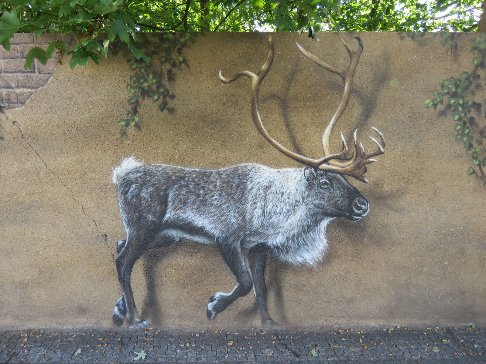 Canon PowerShot SX60 HS sample photo. Moose, wall art, wall photography