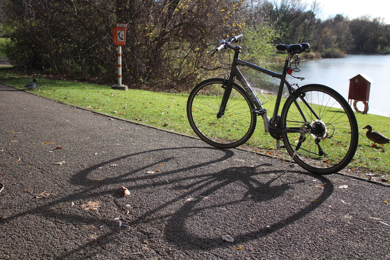 Canon EOS 1300D (EOS Rebel T6 / EOS Kiss X80) sample photo. Bike, sunny, nature photography