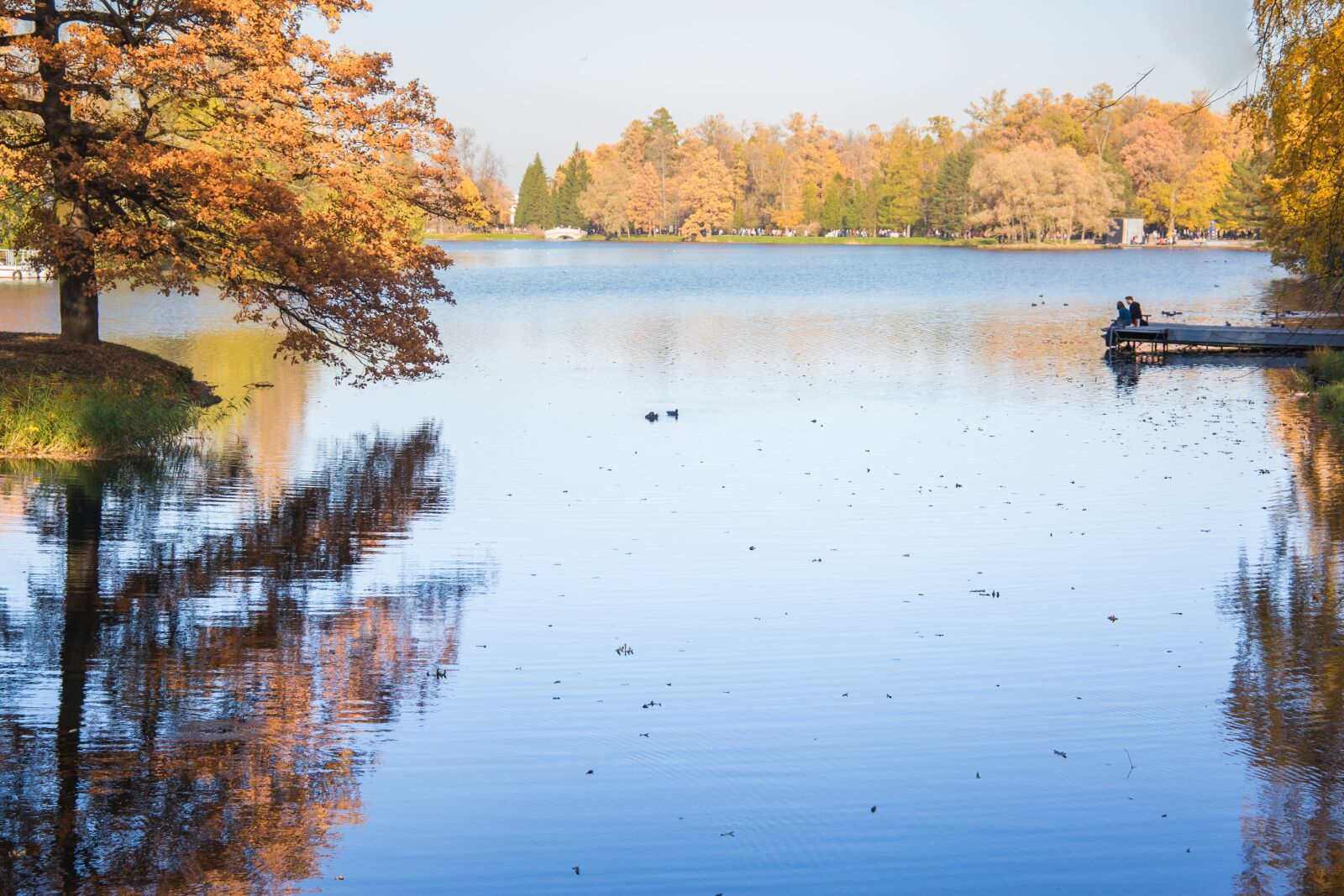 Canon EOS 6D + Canon EF 24-105mm F3.5-5.6 IS STM sample photo. Autumn, park, nature photography