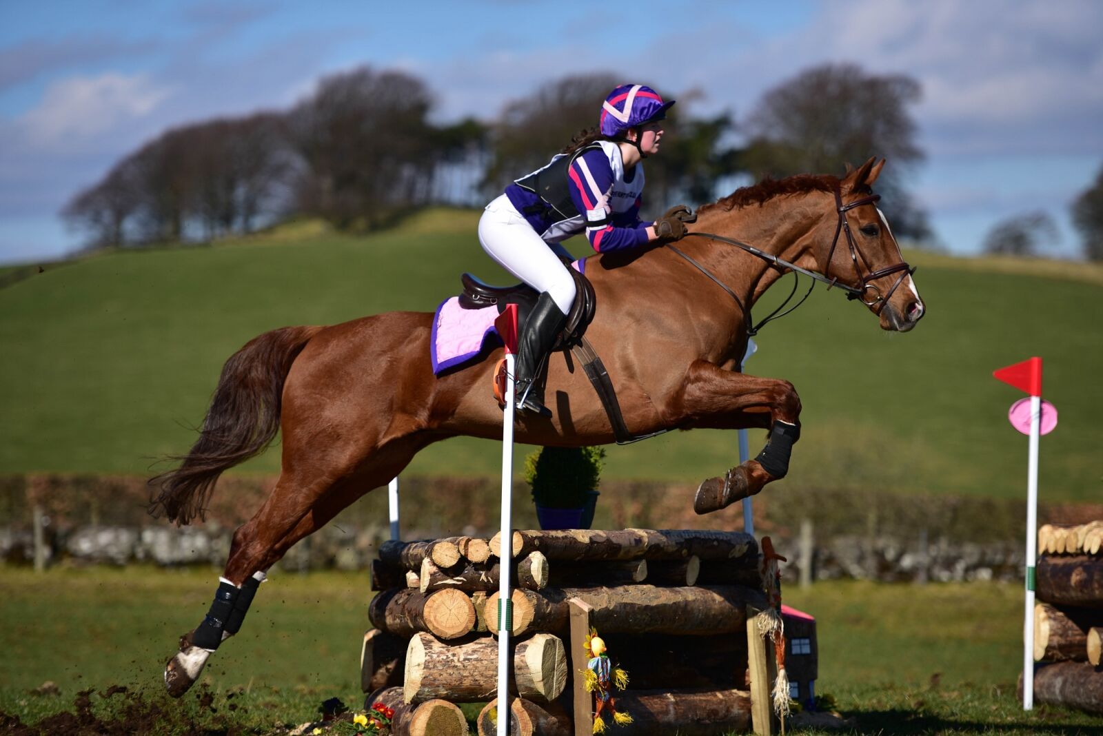 Nikon D750 sample photo. Jumping, horse, jockey photography