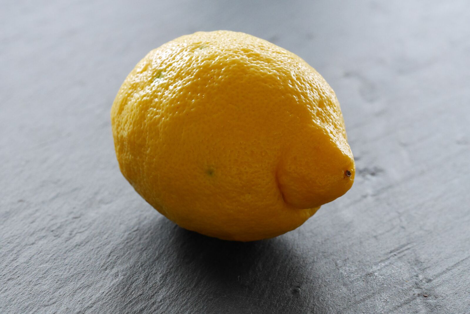 Panasonic Lumix DMC-GX7 sample photo. Citron, lemon, lime photography