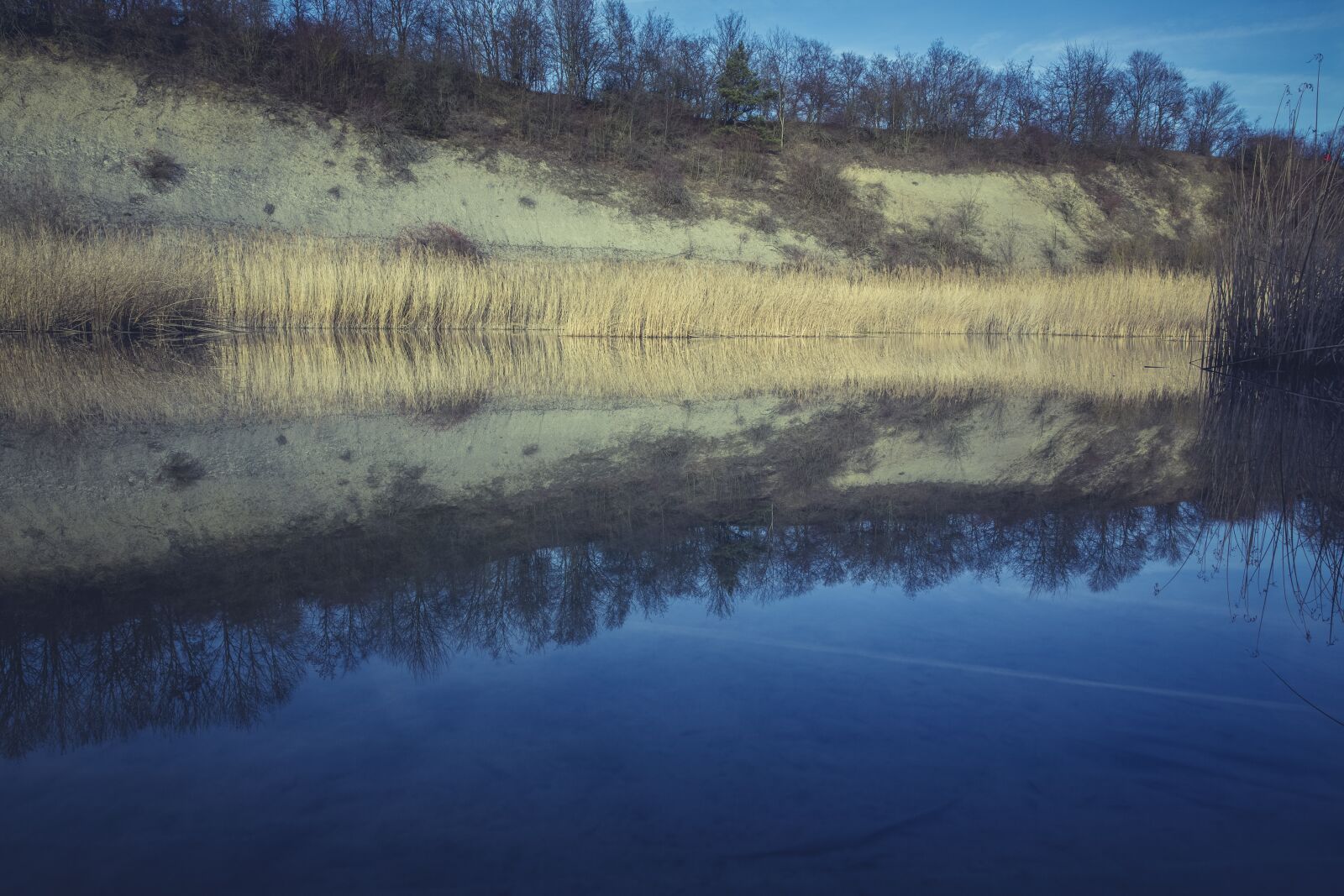 Canon EF 24-70mm F2.8L II USM sample photo. Renaturation, lake, pit photography