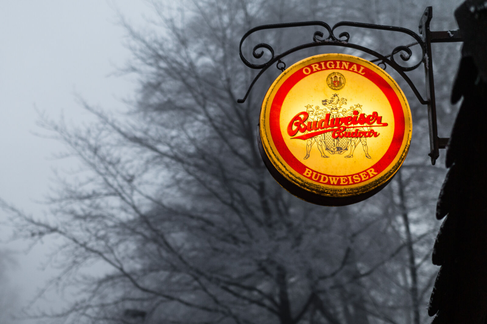 Canon EOS 70D sample photo. Advertisement, beer, black, and photography