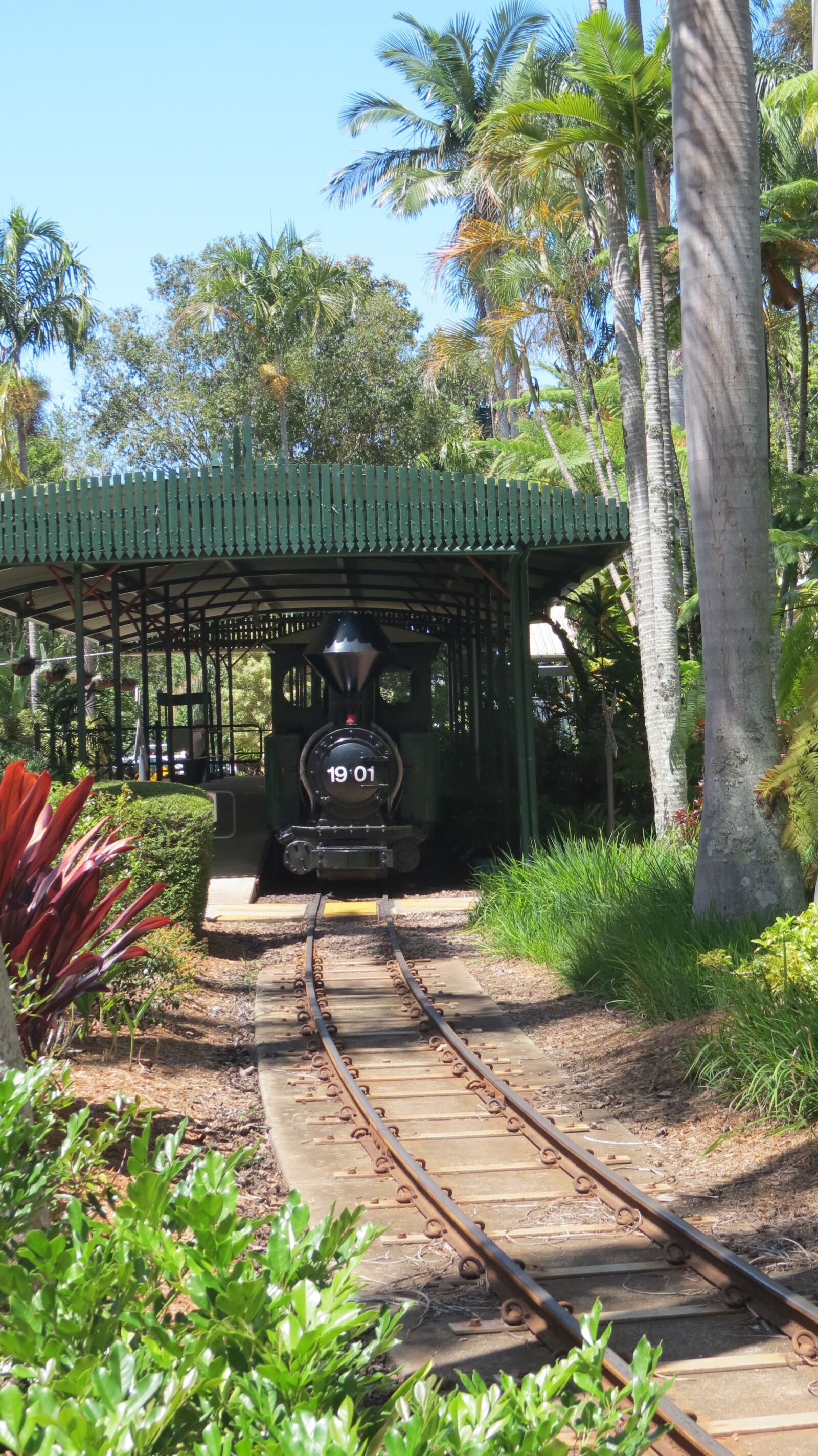 Canon PowerShot SX40 HS sample photo. Steam locomotive, subtropical, garden photography