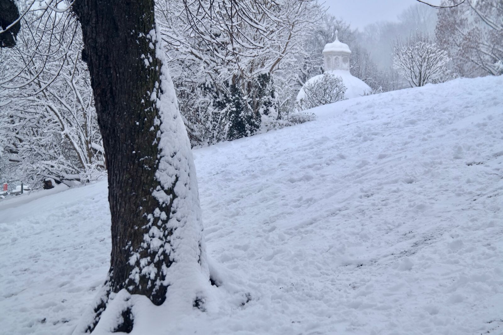 Samsung NX300 sample photo. Winter, snow, snow landscape photography