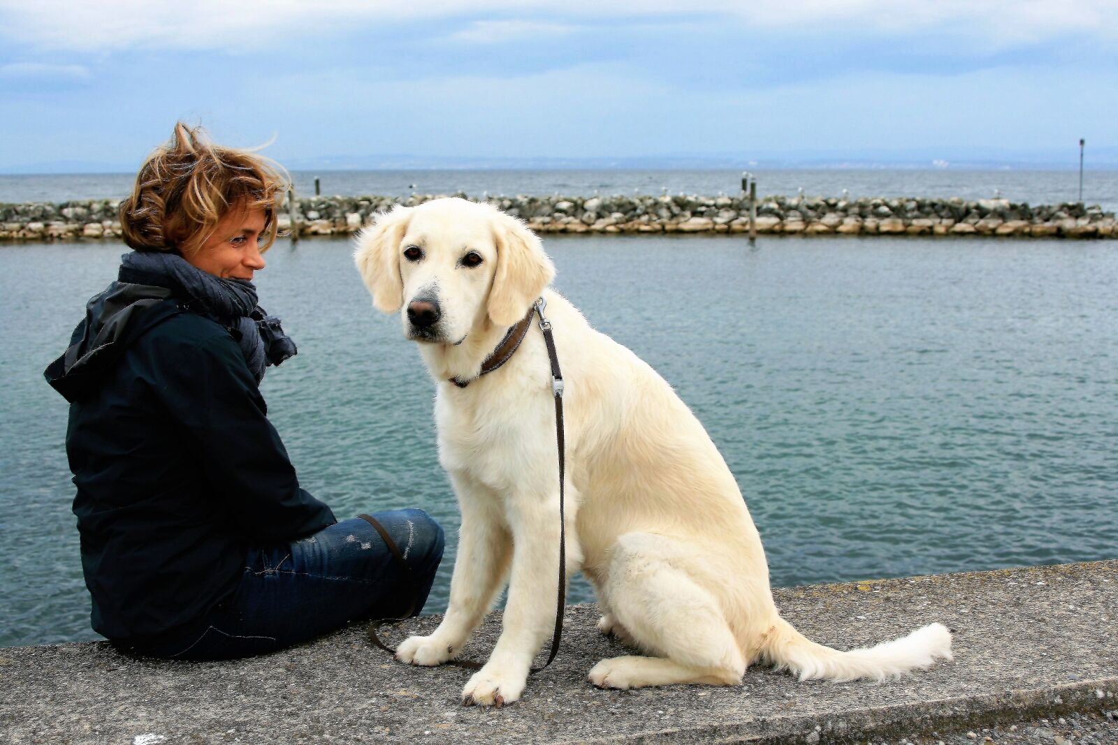 Canon EOS 400D (EOS Digital Rebel XTi / EOS Kiss Digital X) sample photo. White dog, golden retriever photography