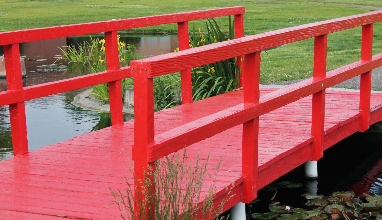 Canon EOS 1100D (EOS Rebel T3 / EOS Kiss X50) sample photo. Bridge, pond bridge, lake photography