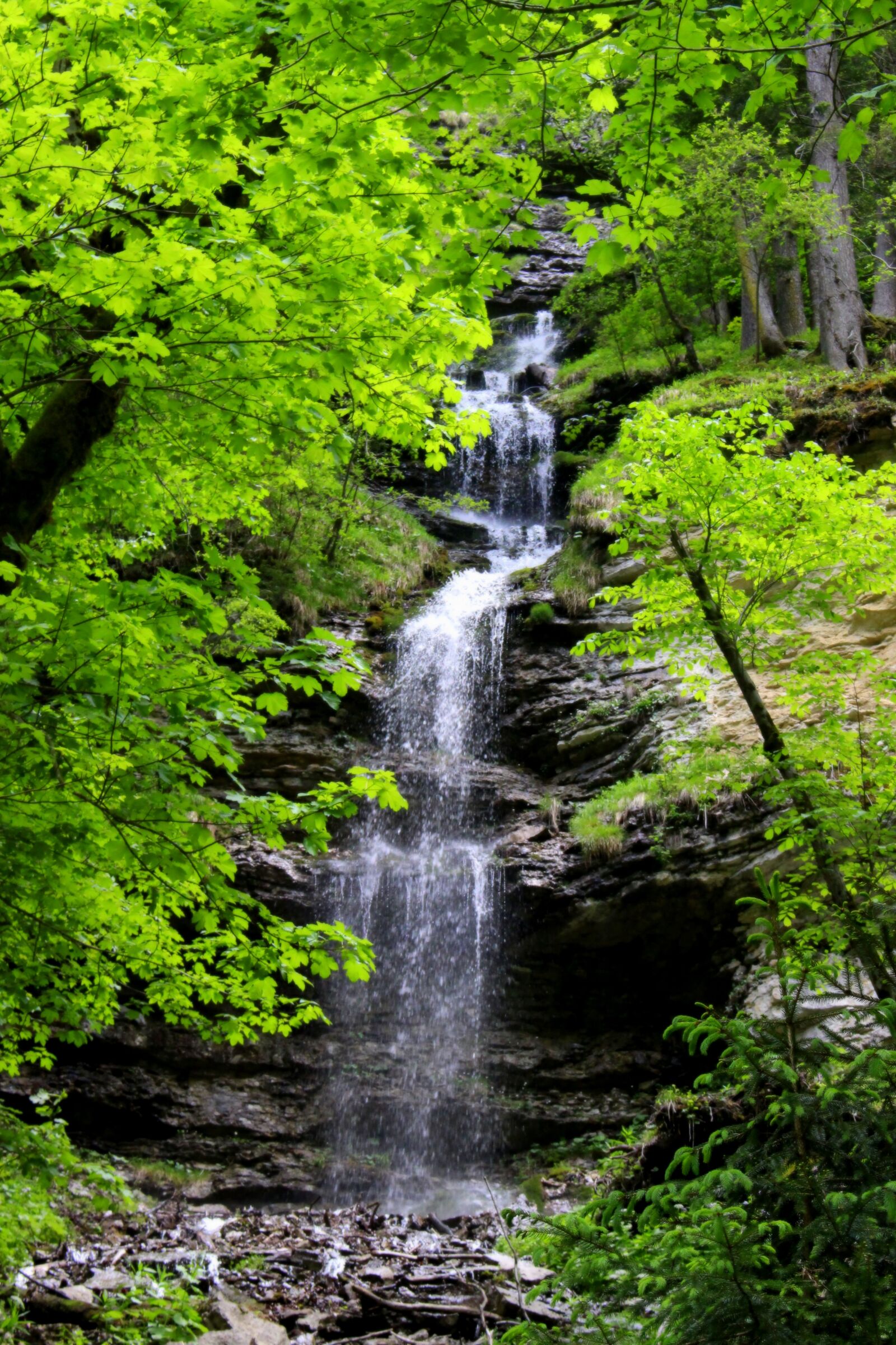 Canon EOS 100D (EOS Rebel SL1 / EOS Kiss X7) sample photo. Waterfall, forest, nature photography