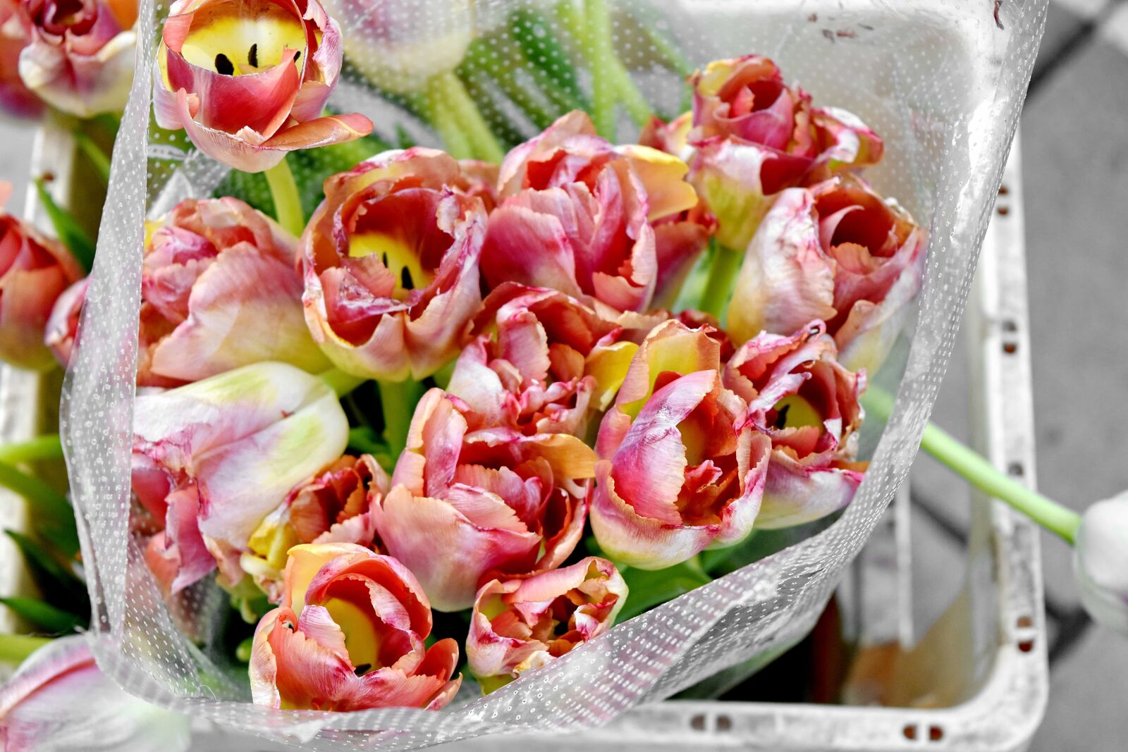 Nikon D5500 sample photo. Tulips, bouquet, decoration, arrangement photography
