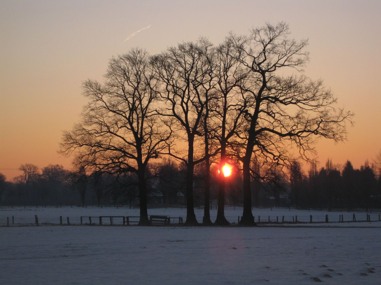 Canon PowerShot SD770 IS (Digital IXUS 85 IS / IXY Digital 25 IS) sample photo. Sunrise, winter landscape, snow photography
