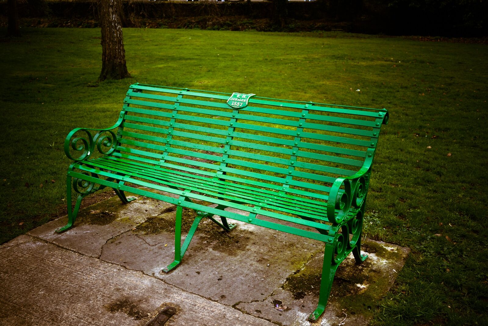 Nikon D3100 sample photo. Bench, metal, green photography