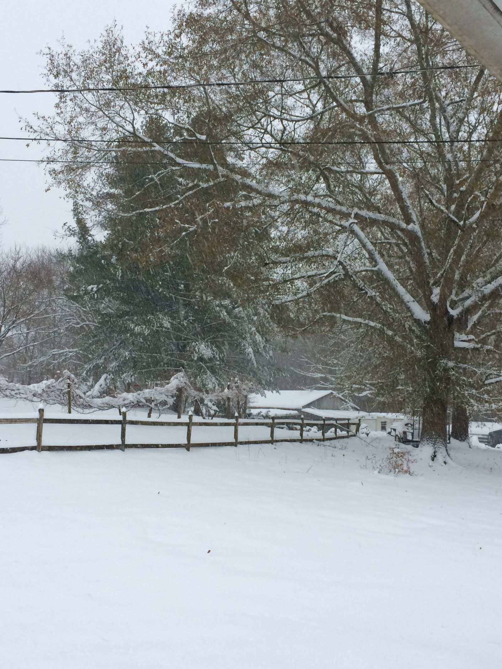 iPhone 5s back camera 4.15mm f/2.2 sample photo. Snow, fence, winter photography