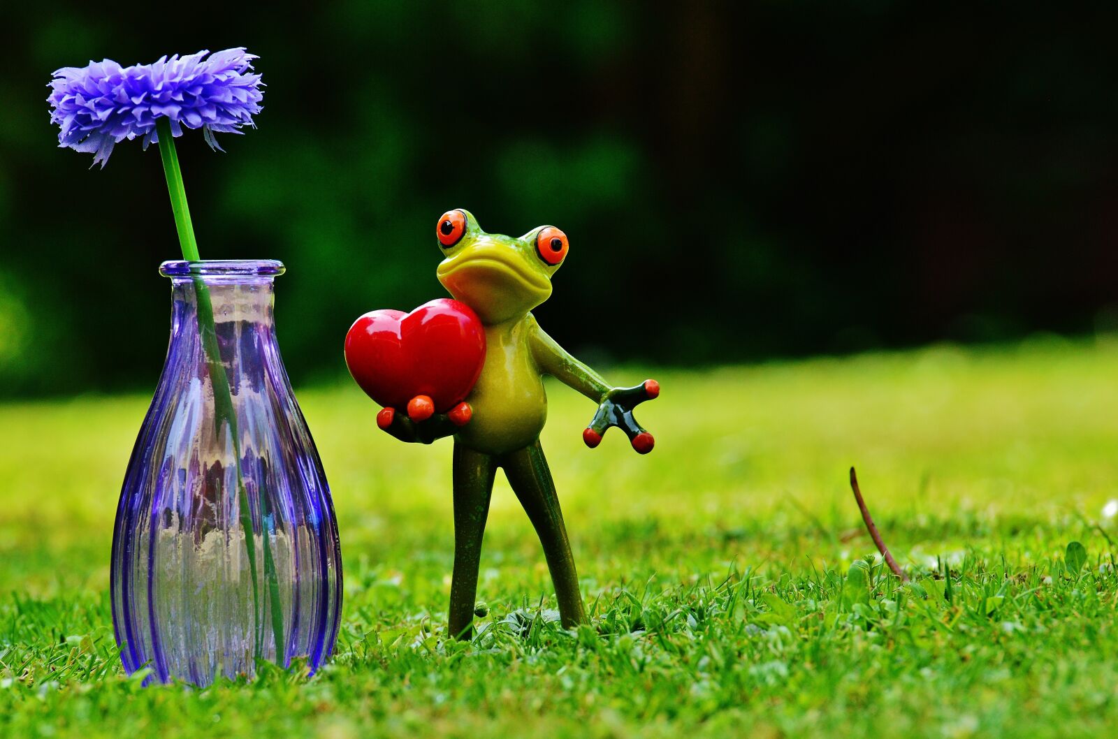 Nikon D3200 sample photo. Frog, love, valentine's day photography