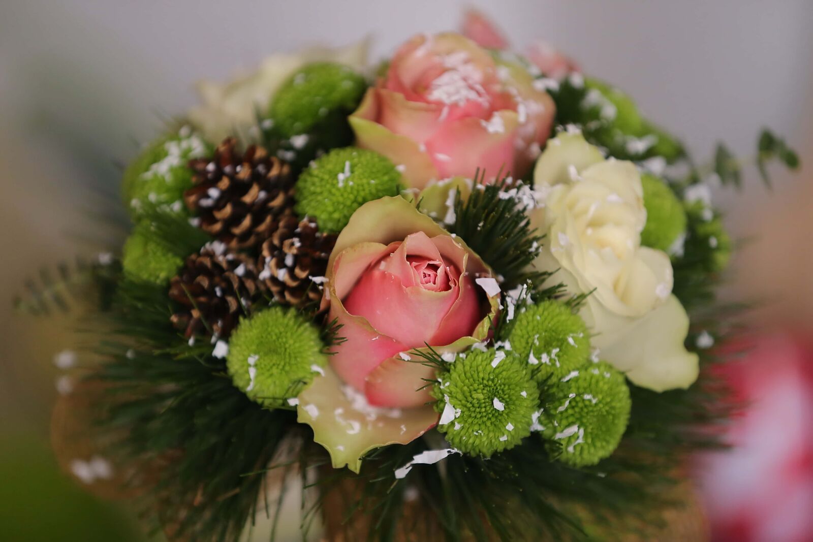Canon EF 70-200mm F2.8L IS II USM sample photo. Roses, snowflakes, conifers, bouquet photography