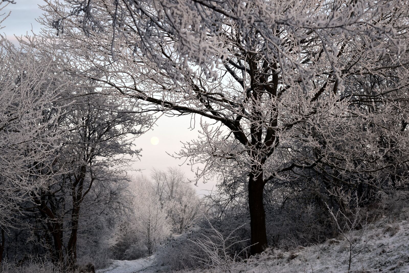 Nikon D5300 sample photo. Winter, landscape, wintry photography