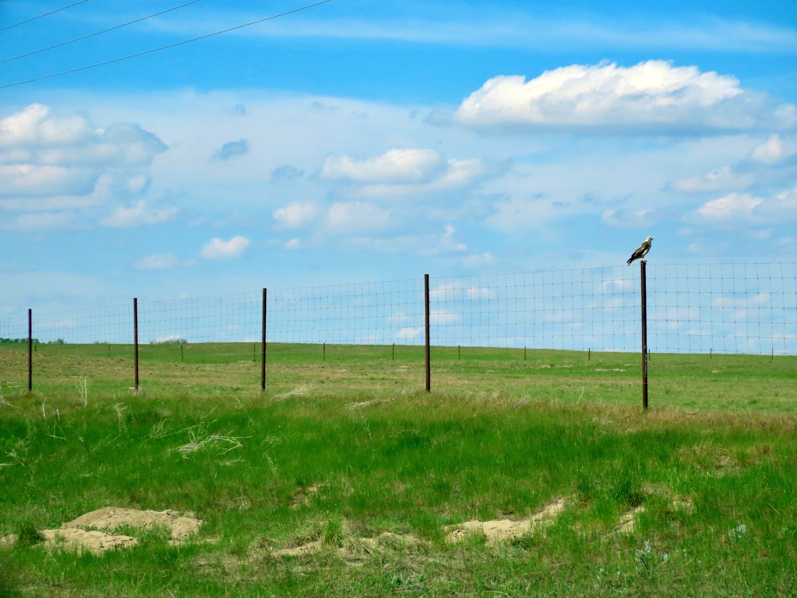 Nikon D3200 sample photo. Plains, fences, fence photography