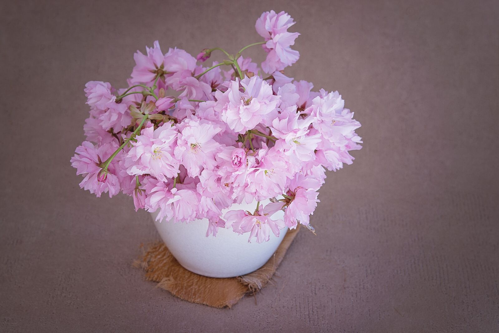 Nikon D7100 sample photo. Flowers, pink, pink flower photography