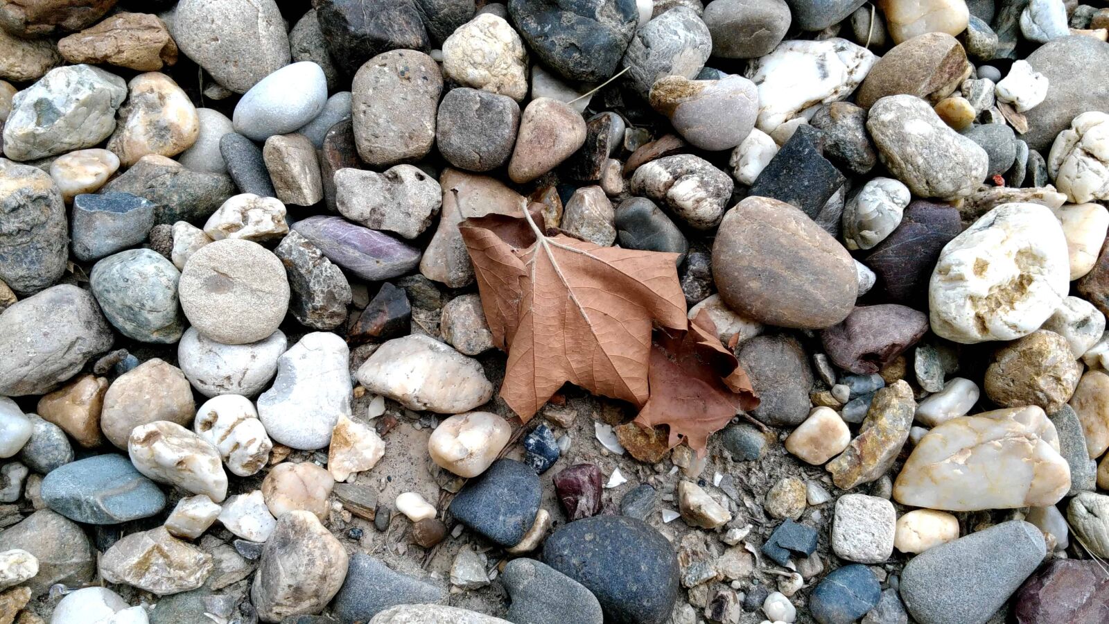 Lenovo S60-A sample photo. Ground, stone, nature, texture photography